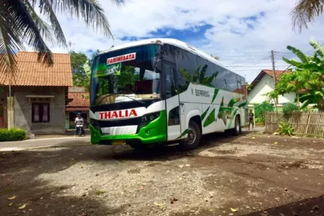 Jelajahi Cilacap dengan F.R Tour & Travel: Liburan yang Tak Terlupakan